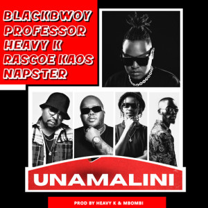 Heavy-K的专辑Unamalini (Radio Edit)