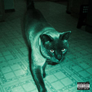 Kickflip的專輯Pulse (Explicit)