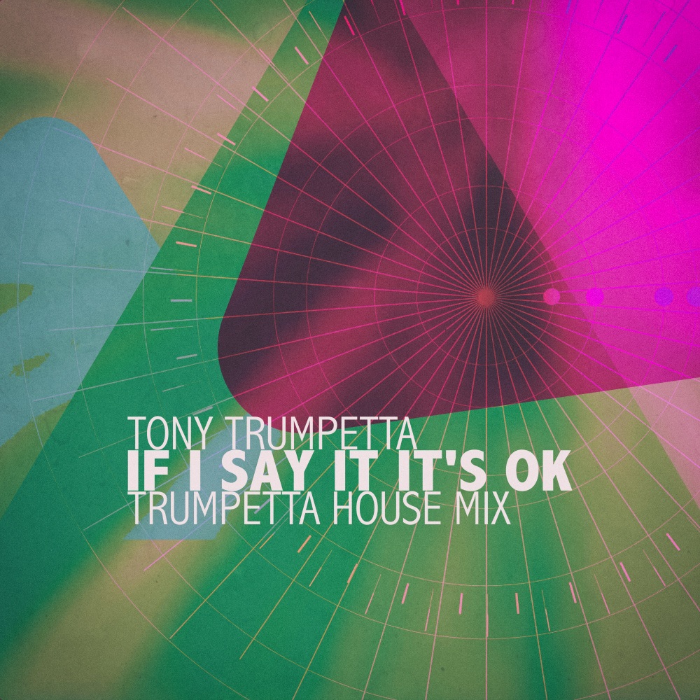 If I Say It It's Ok (Trumpetta House Mix)