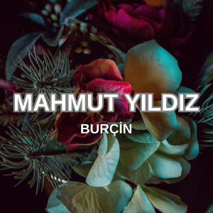 Album Burçin from Mahmut Yıldız
