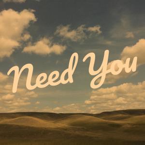 Album Need You (Explicit) from L.A.N.D.O