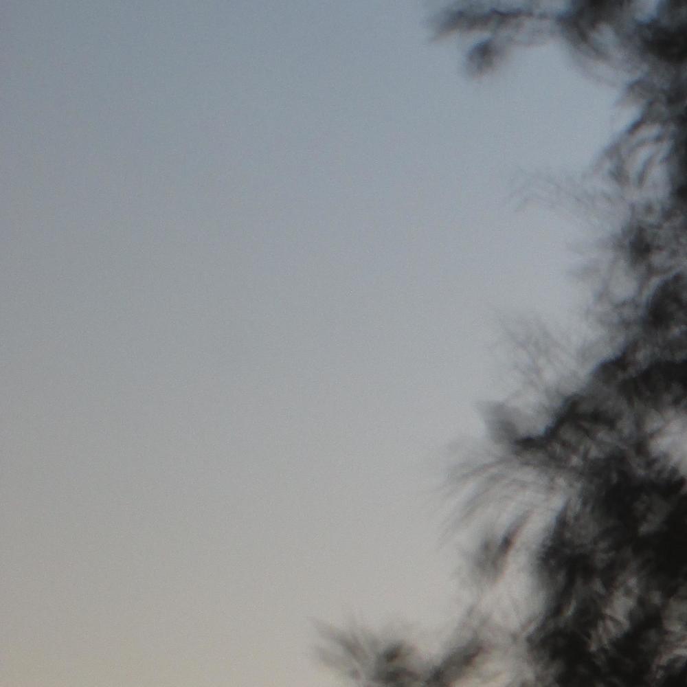 untitled 4 (forever)