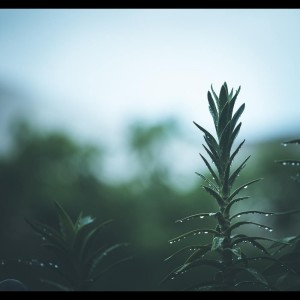 收聽Relaxation Sleep Meditation的Far Away歌詞歌曲
