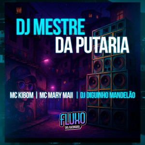 Album DJ Mestre da Putaria from MC KIBOM