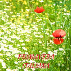 อัลบัม Primavera italiana ศิลปิน Various