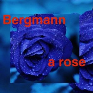 Dengarkan lagu A Rose nyanyian Bergmann dengan lirik