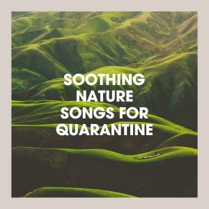 อัลบัม Soothing Nature Songs for Quarantine ศิลปิน Ambiance Nature
