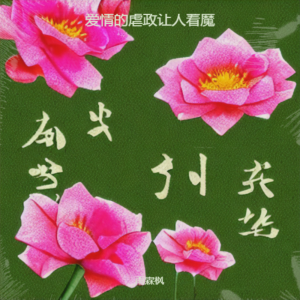 雨霖枫的专辑爱情的虐政让人着魔