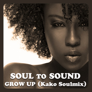 收聽Soul To Sound的Grow Up (Kako Soulmix)歌詞歌曲