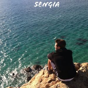 ดาวน์โหลดและฟังเพลง Been Trought พร้อมเนื้อเพลงจาก Sengia