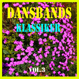 ดาวน์โหลดและฟังเพลง En pärla bland pärlor พร้อมเนื้อเพลงจาก Lasse Kent´s