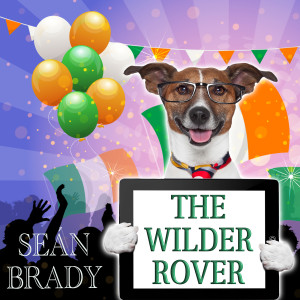 Album The Wilder Rover from Sean Brady