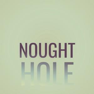 Various Artists的專輯Nought Hole