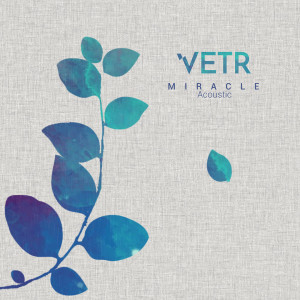Listen to Miracle (Acoustic) song with lyrics from Vetr