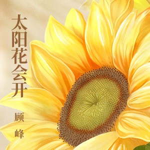 Album 太阳花会开 oleh 顾峰