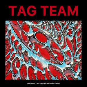 ดาวน์โหลดและฟังเพลง Tag Team (Radio Edit) พร้อมเนื้อเพลงจาก Paraçek