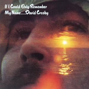收聽David Crosby的Music Is Love歌詞歌曲