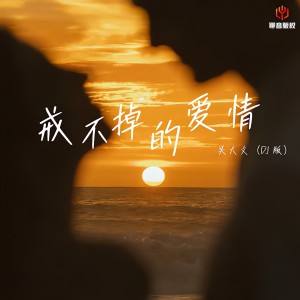 Album 戒不掉的爱情（DJ豪大大版） from 吴大文