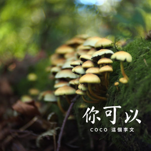 coco這個李文的專輯你可以