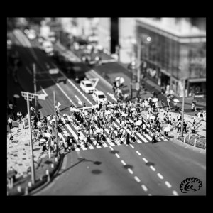 Album Rashii (feat. Kazuki Ookawa) from Eee.