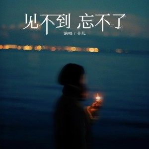 Album 见不到忘不了 from 菲儿