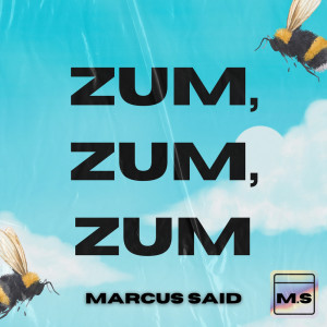 Listen to Zum Zum Zum (Vip Mix) song with lyrics from Marcus Said