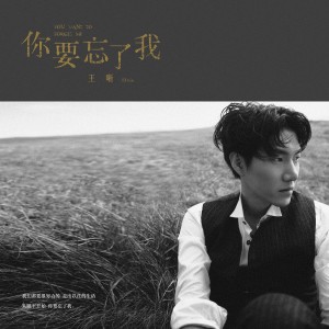 ดาวน์โหลดและฟังเพลง 你要忘了我 พร้อมเนื้อเพลงจาก 王晰