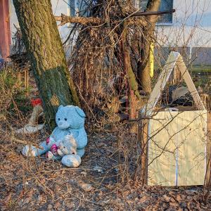 收聽Foresteppe的Para Site歌詞歌曲