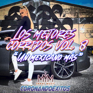 Album Los Mejores Corridos, Vol. 8 ("Un Mexicano Mas") (Explicit) oleh Various