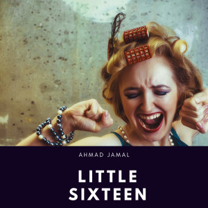 Album Little Sixteen from The Aquatones