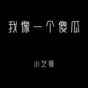 Listen to 我像一个傻瓜 (伴奏) song with lyrics from 小艺哥