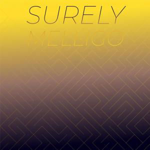 ดาวน์โหลดและฟังเพลง Presented พร้อมเนื้อเพลงจาก Sude Murre