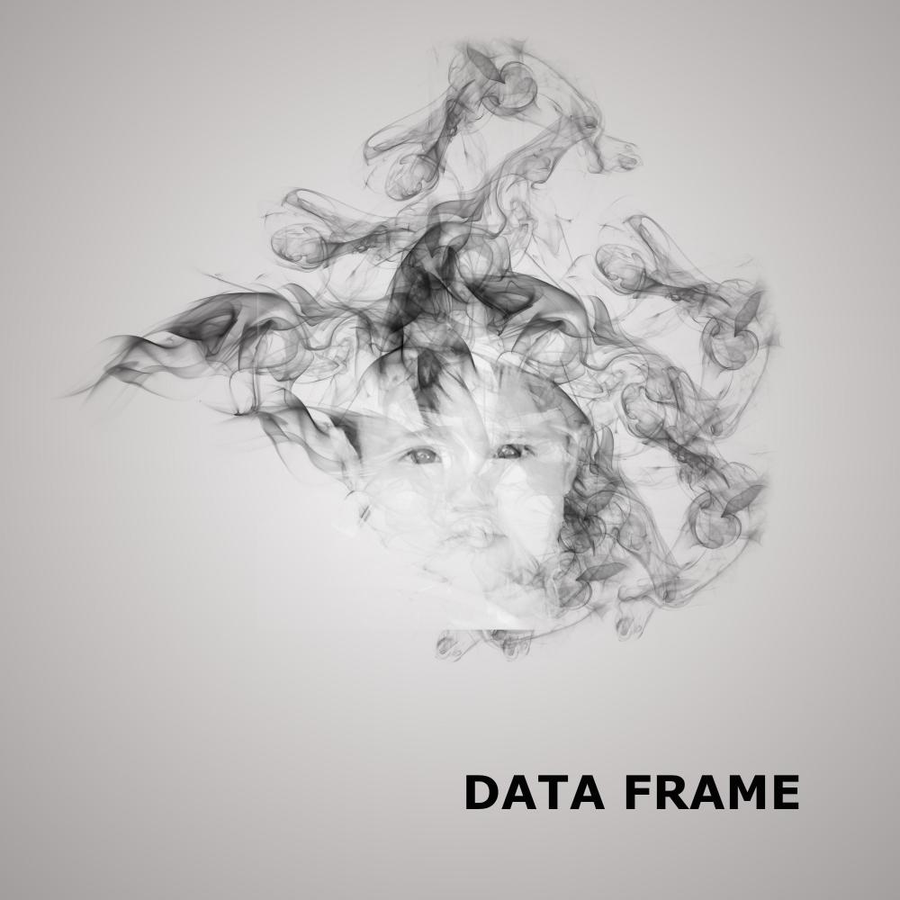 Data Frame