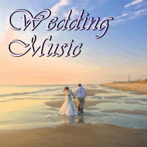 收聽The Wedding的Edelweiss歌詞歌曲