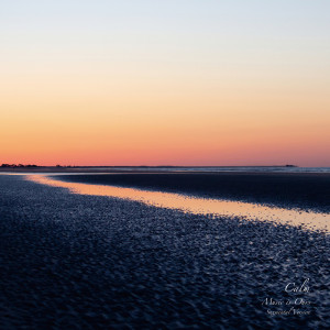 收聽Calm的Sunday Sun (feat. 中納良恵)歌詞歌曲