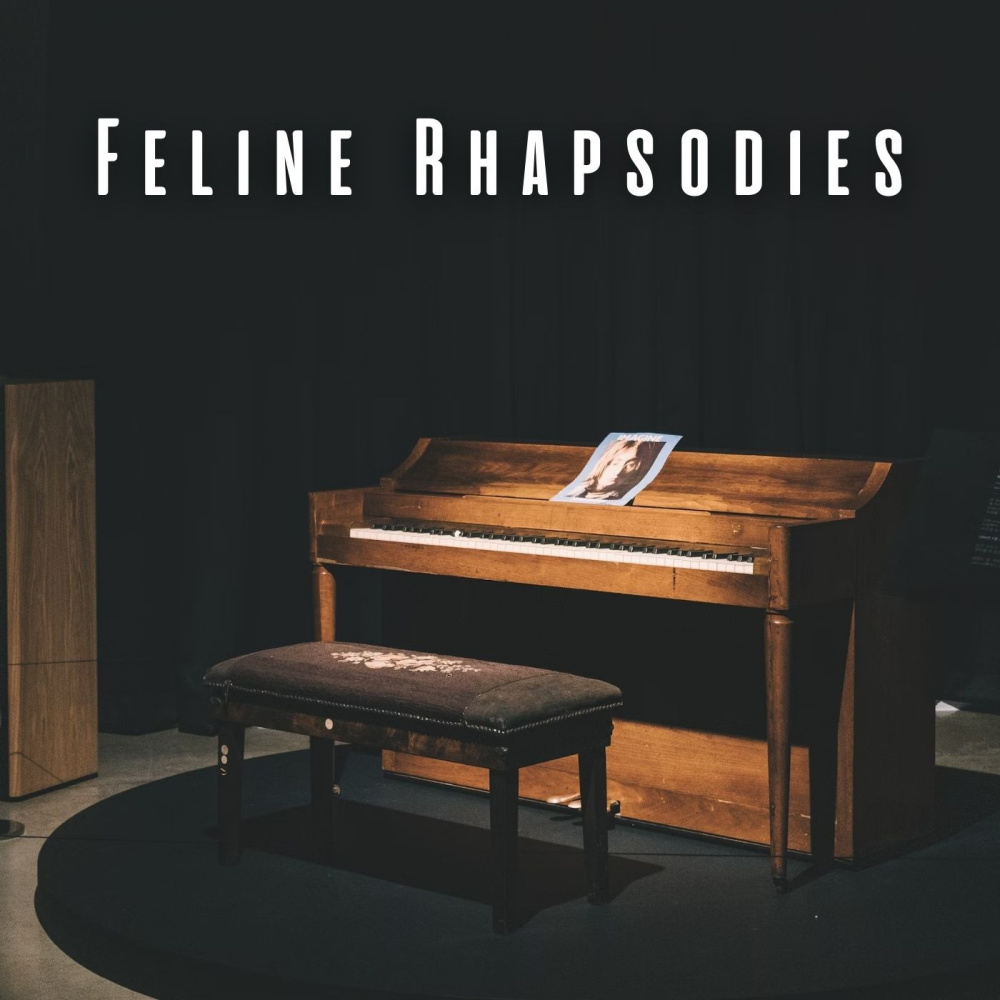 Gentle Piano Whiskers