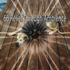 66 Relief Through Ambience