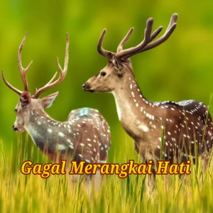 Dengarkan lagu Gagal Merangkai Hati nyanyian It's Me dengan lirik