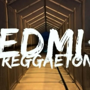 收聽Edmi的Reggae-TON歌詞歌曲