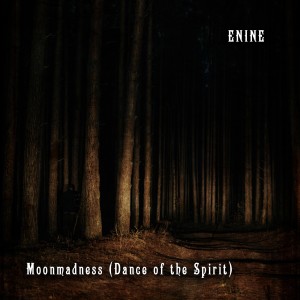 收听Enine的Moonmadness(Dance of the Spirit)歌词歌曲