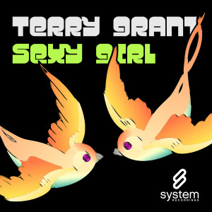 收聽Terry Grant的Sexy Girl (Original Mix)歌詞歌曲