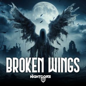 Album Broken Wings from Dj Nightcore