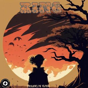 Listen to King (Explicit) song with lyrics from Franklin Kvng