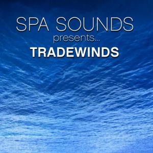 ดาวน์โหลดและฟังเพลง Festival พร้อมเนื้อเพลงจาก Spa Sounds Musicians