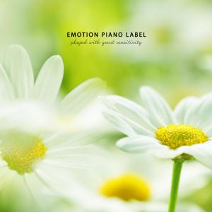 Album A piano collection that makes a store stand out from Various Artists