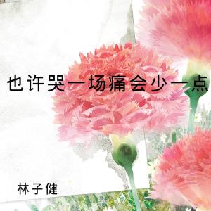 Album 也许哭一场痛会少一点 oleh 林子健