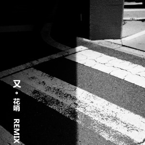 收聽花哨的又 (DJ花哨版)歌詞歌曲