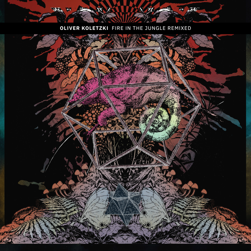 Fire in the Jungle (Lunar Plane Remix)