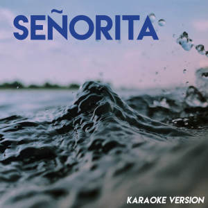 收聽Vibe2Vibe的Señorita (Karaoke Version)歌詞歌曲
