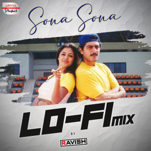 Kumar Atul的专辑Sona Sona Lofi Mix (From "Vaalee")